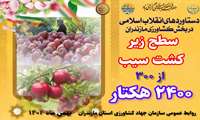 روایت دستاوردهای انقلاب اسلامی در کشاورزی استان مازندران/ سیب